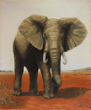 Elefefant
